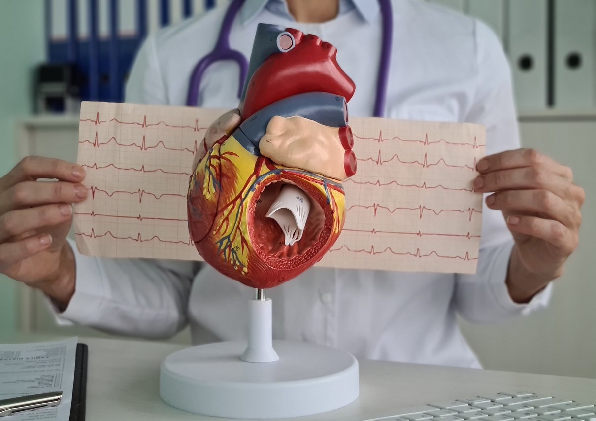 Cardiologist examines electrocardiogram of patient in clinic concept